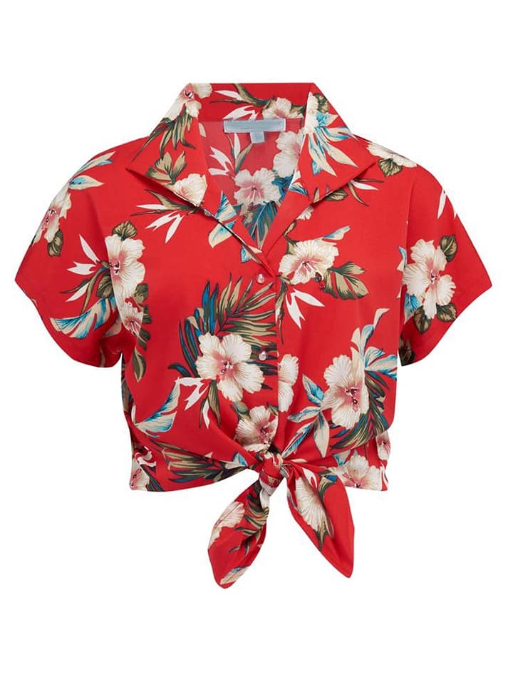 62465712_2302210366530909_8841769904911679488_n