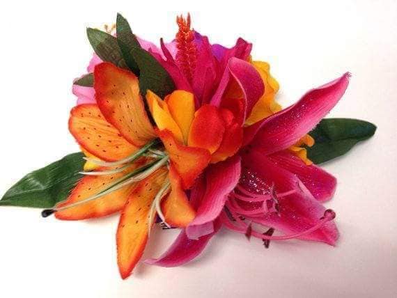 64308129_2302375416514404_5988748337065492480_n